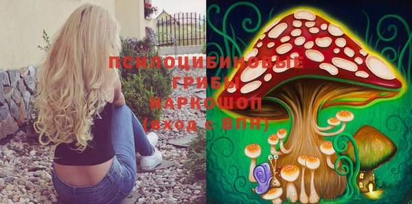 молекула духа Богданович