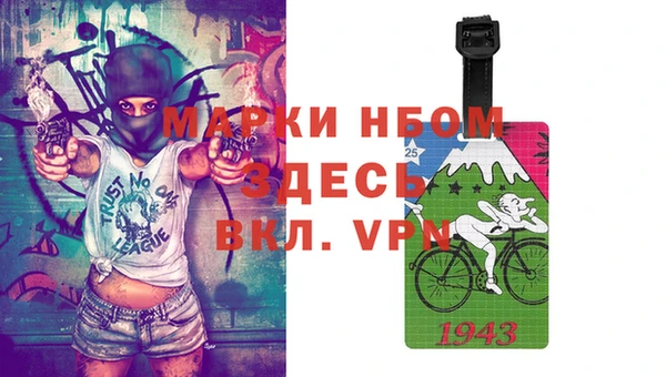 молекула духа Богданович