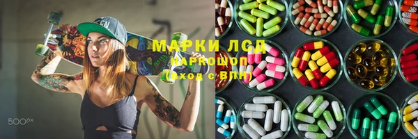 молекула духа Богданович