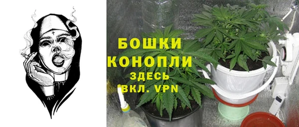 spice Богородицк