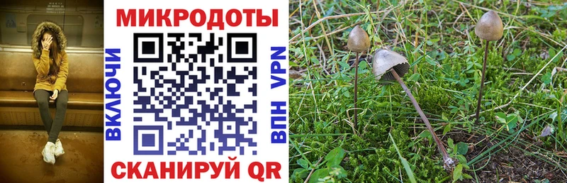 blacksprut ONION  Бокситогорск  Галлюциногенные грибы мухоморы  даркнет сайт 